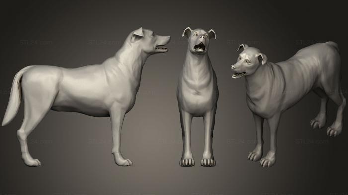 Animal figurines (Dog Collie D, STKJ_0889) 3D models for cnc